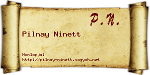 Pilnay Ninett névjegykártya